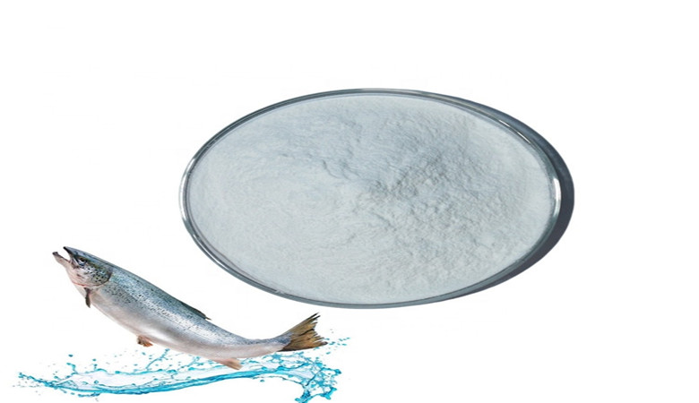 Fish collagen is good to our body
