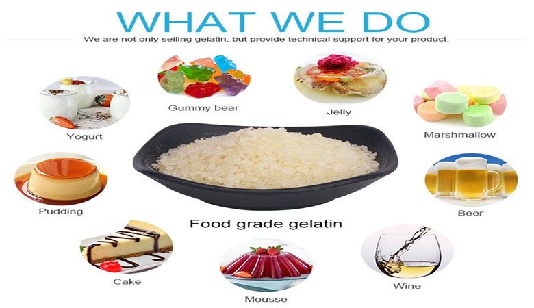 gelatin in food application