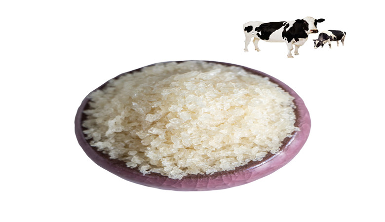 Edible beef gelatin have benefits