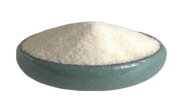 the function of gelatin