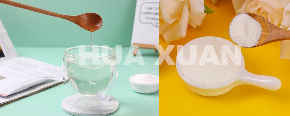 type-ii-collagen-powder-china