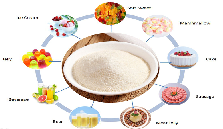 the function of gelatin