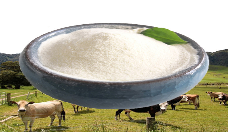 cow collagen