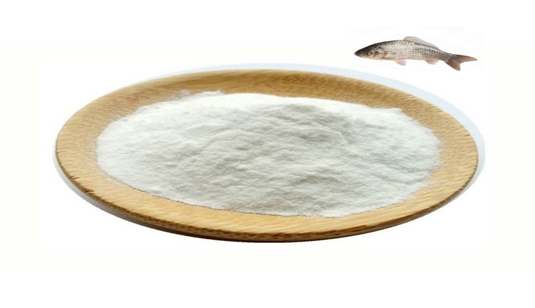 Fish collagen manufacturers