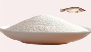 Fish collagen manufacturers