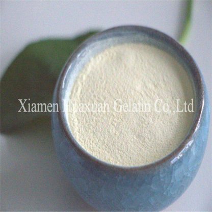 Peptone for medicine