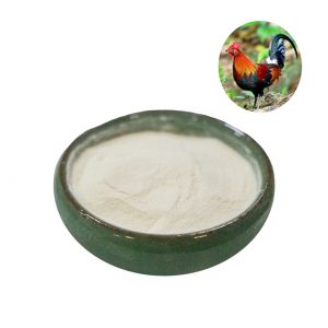 Chicken_collagen_type II