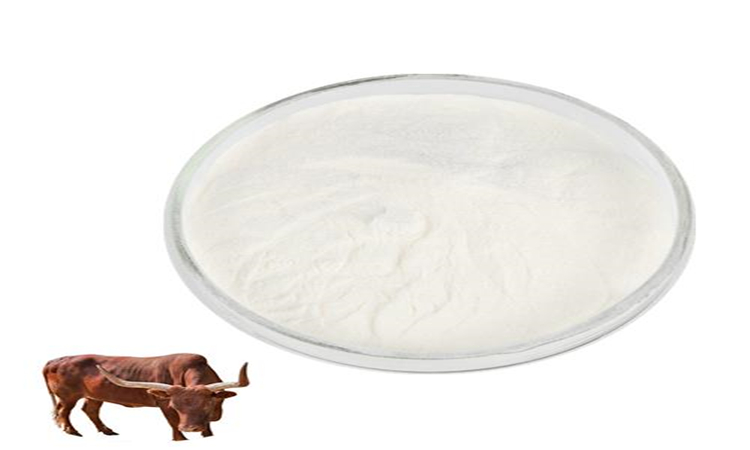 Bovine collagen peptide manufacturer