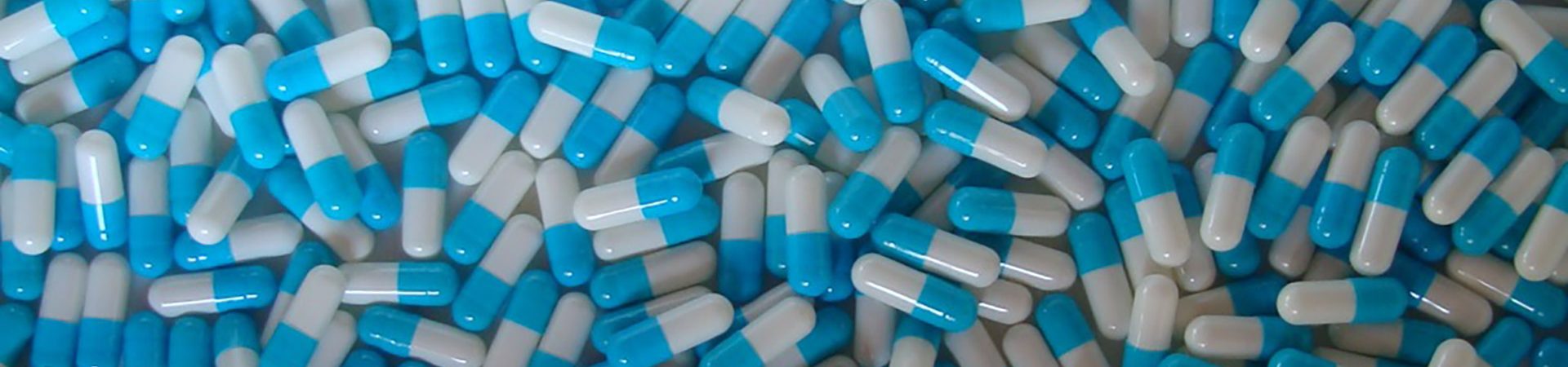 Plant gelatin empty capsule
