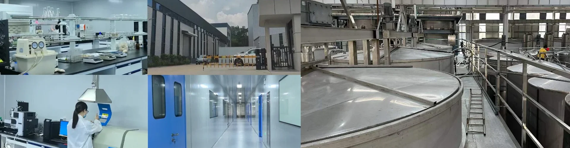 gelatin-manufacturer-china